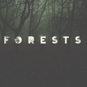 Lee más sobre el artículo Forest